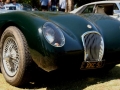 1953_Jaguar_C_Type