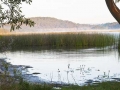 Morning-mist-on-Cabarita-Lake