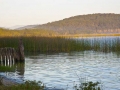 Tranquility-on-the-lake