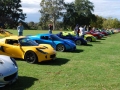 Concours_Lotus_2009_Beechworth_Vic