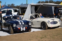 Austin-Healeys-at-rest