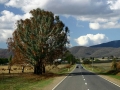 Scene_from_the_tour_bus
