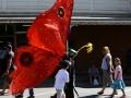Such_a_stunning_butterfly