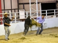 Losing-the-hay-bale