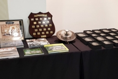 The-awards-and-prizes