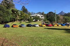 Mavis's Kitchen, Mt Warning and the cars