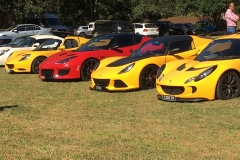 Most Lotus look good in Yellow