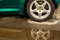 gw_Lotus reflections