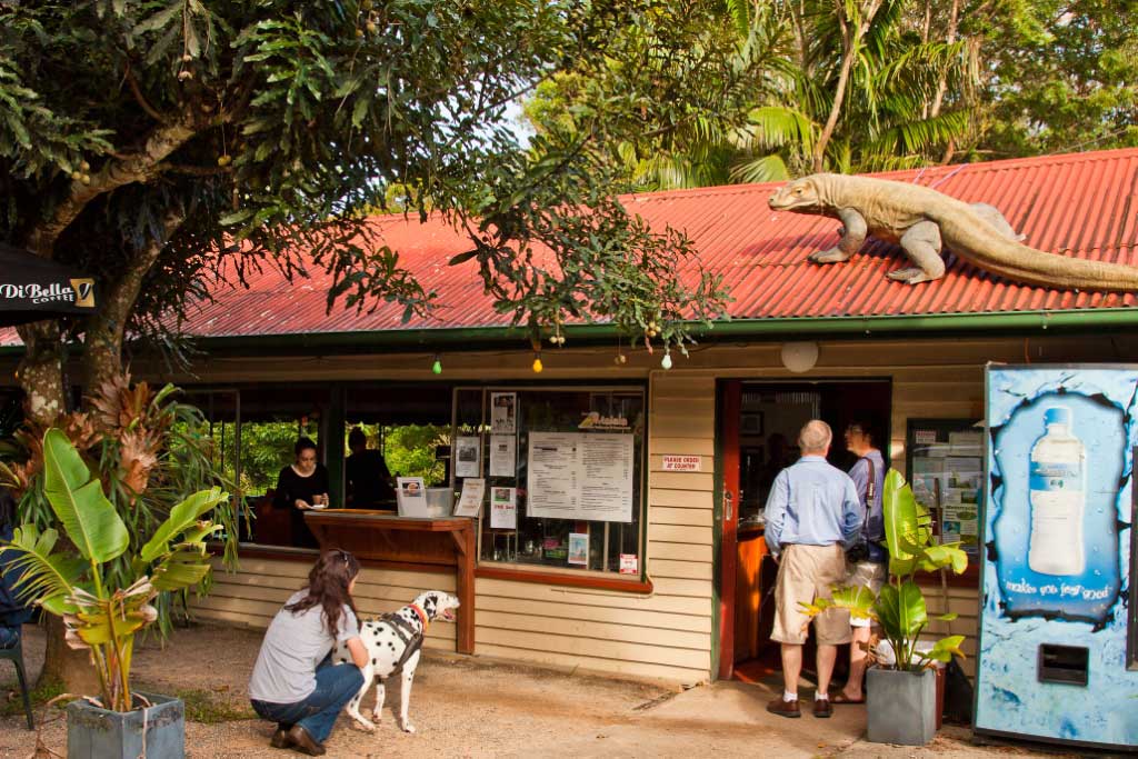 10_Entering_the_Maiala_Rainforest_Teahouse