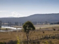 Passing-open-paddocks-and-man-made-lakes