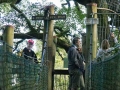 Wade-about-to-do-the-treetop-walk