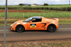 Through-the-canefields-Trevor-Doyle