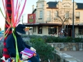 Dressed tree in the main street