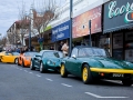 Lotus display in the street