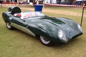 Lotus Eleven