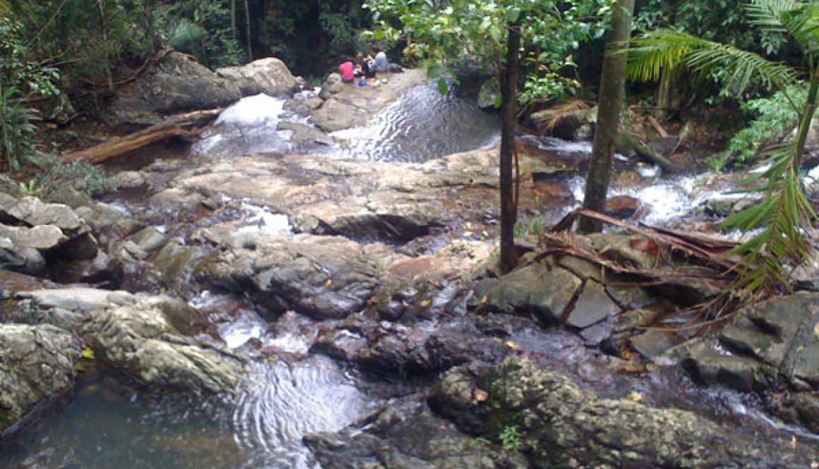 maiala-picnic-area-mt-glorious